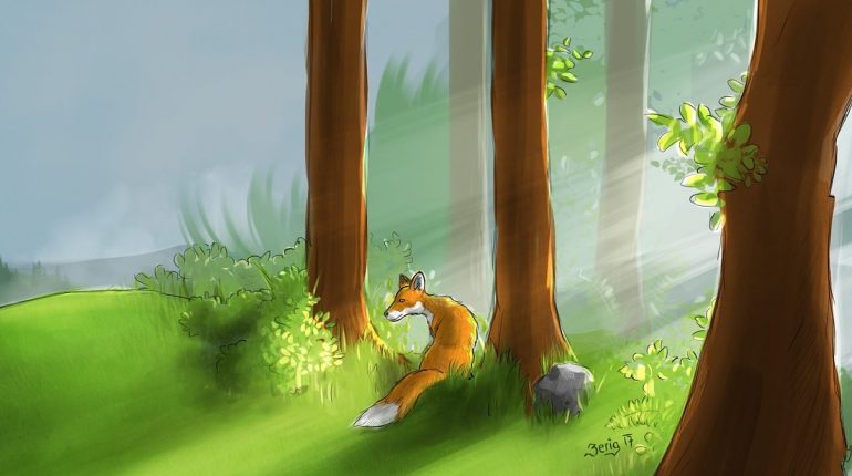 renard dans la forêt