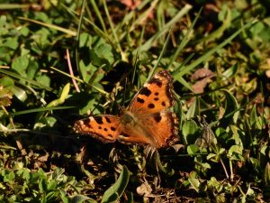 À la découverte de la nature qui nous entoure
