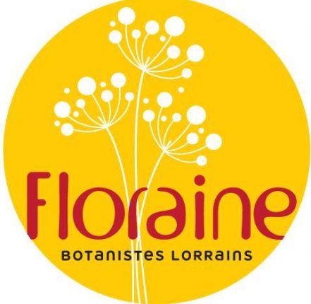 Floraine
