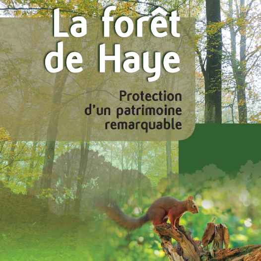 La forêt de Haye plaisir de lire, plaisir de découvrir et plaisir d