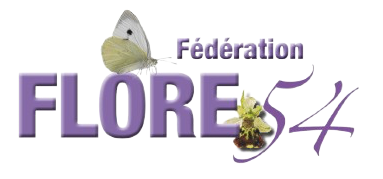 FLORE 54